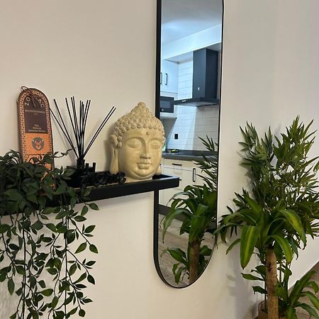 Gongora Home Con Parking 科爾多瓦 外观 照片