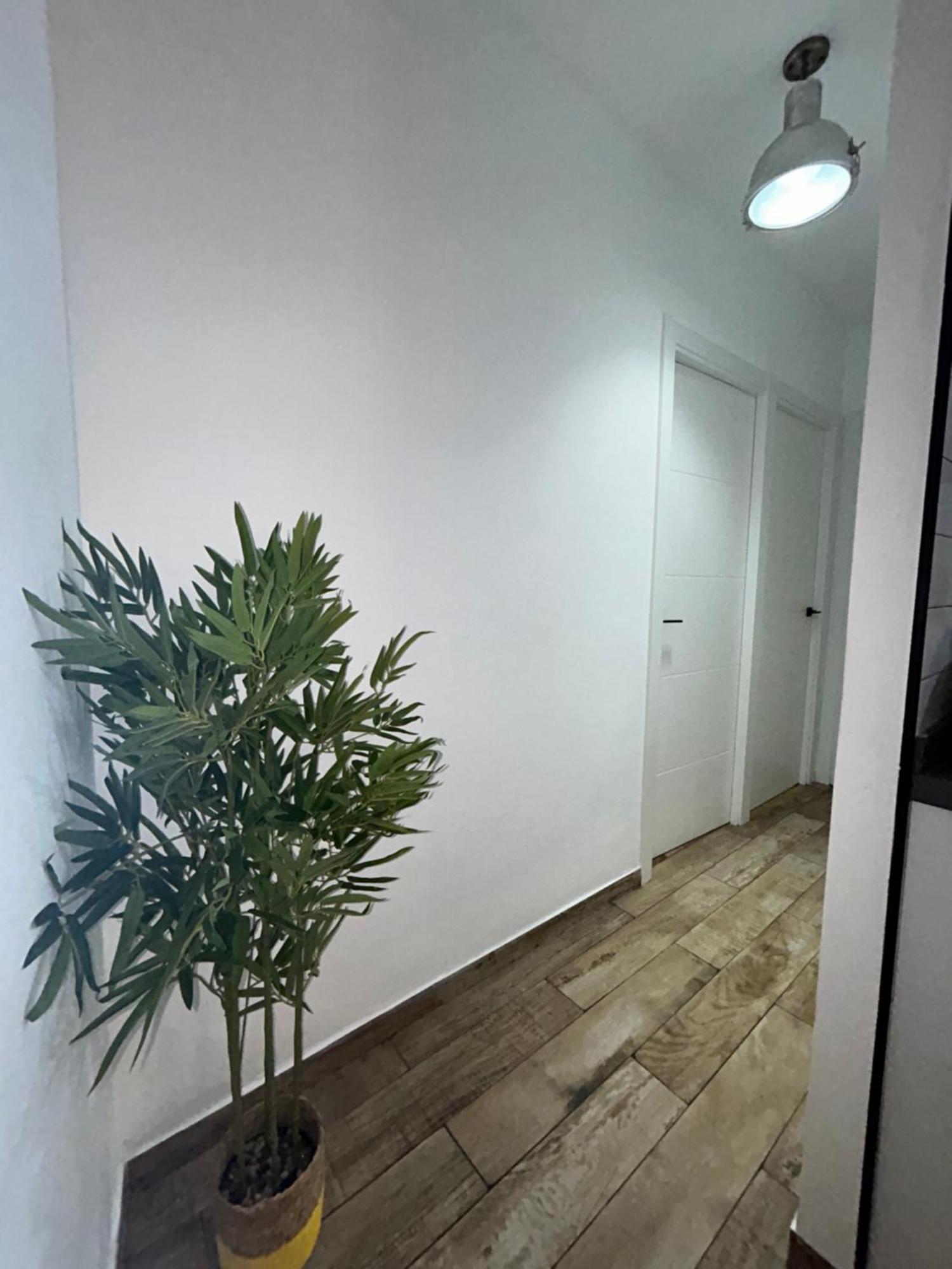 Gongora Home Con Parking 科爾多瓦 外观 照片